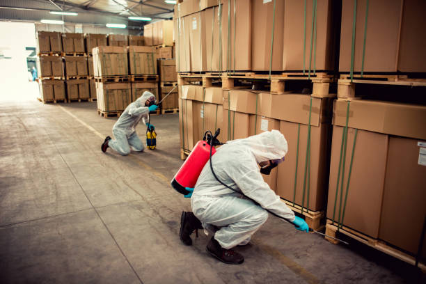 Best Emergency Pest Control  in Brookhaven, GA