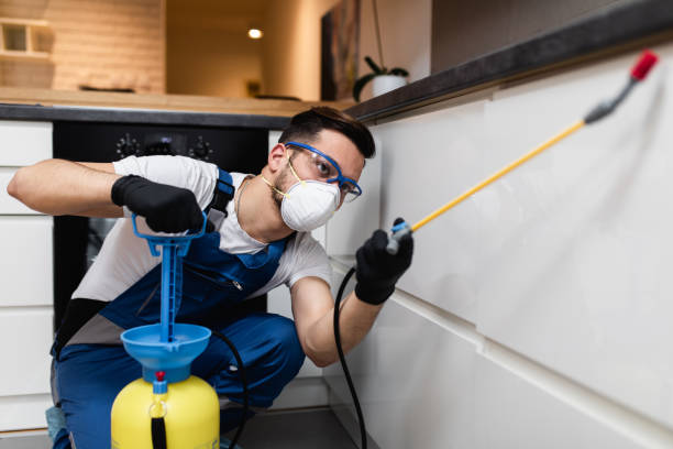 Best Pest Control for Homes  in Brookhaven, GA