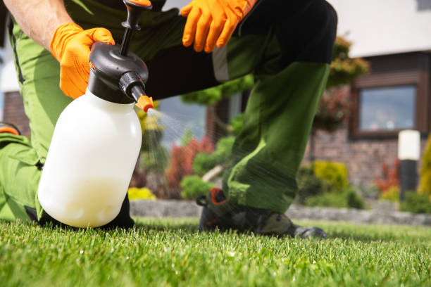 Best Pest Control Near Me in Brookhaven, GA