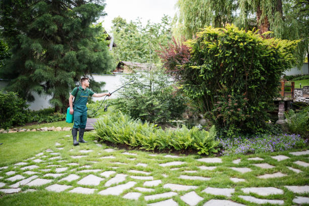 Best Affordable Pest Control Services  in Brookhaven, GA