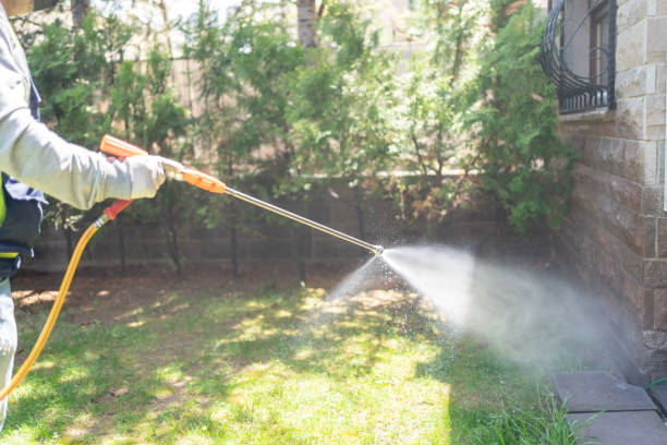 Best Flea Control Services  in Brookhaven, GA