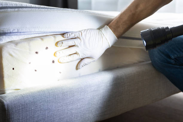 Best Wildlife Control Services  in Brookhaven, GA