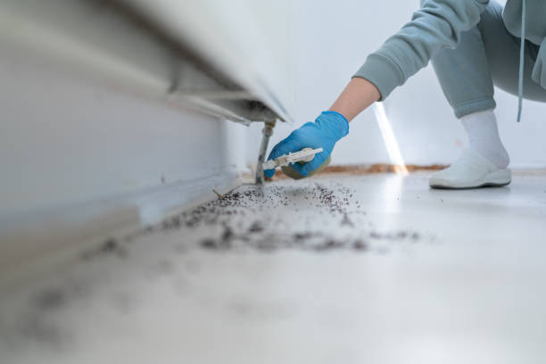Best Best Pest Control Companies  in Brookhaven, GA